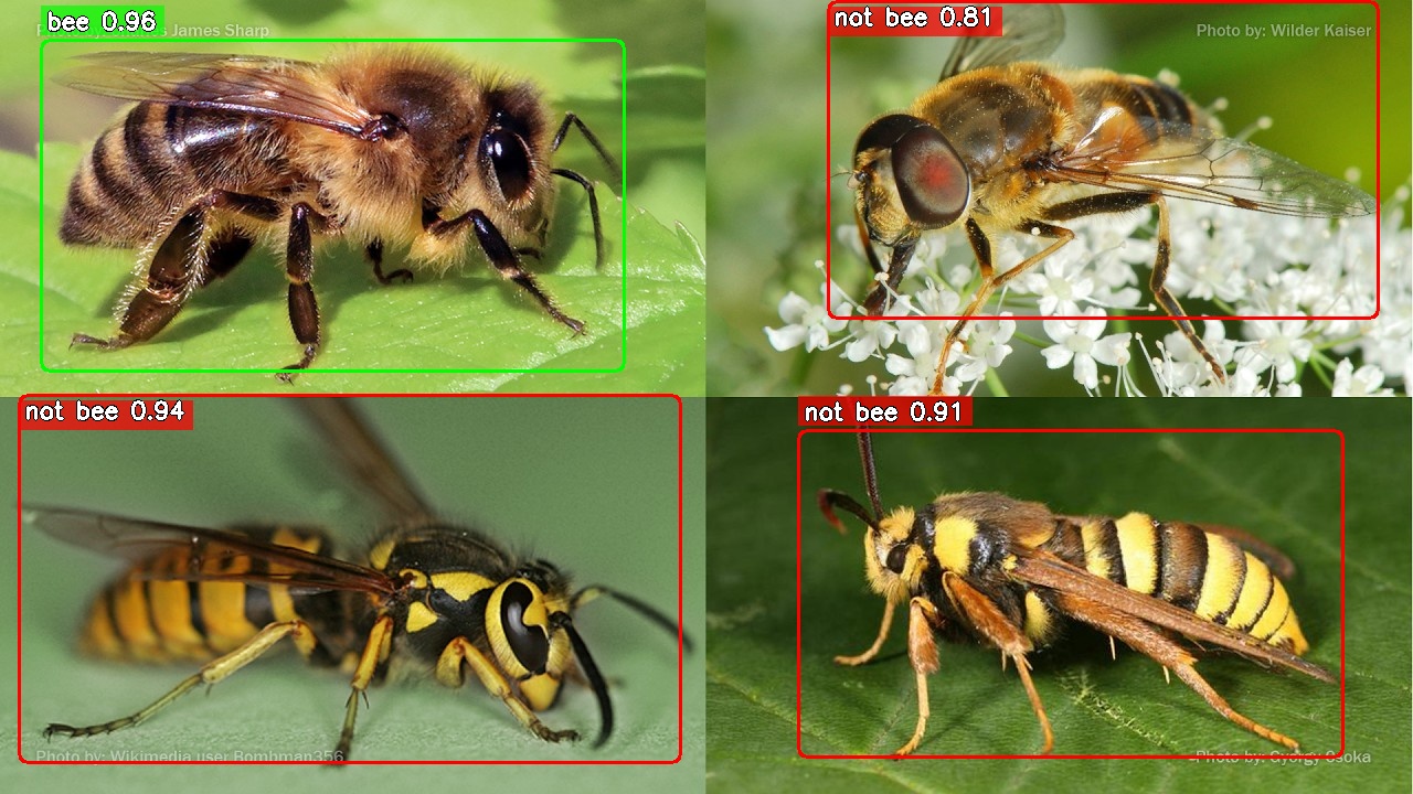 Bee vs impostor classification