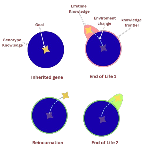 Baldwin effect diagram