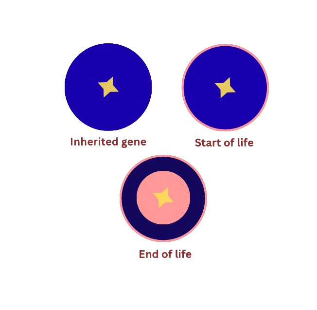 Non-changing benefits diagram