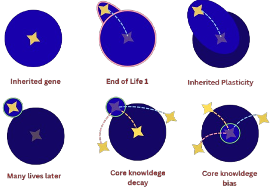 Reincarnation reset diagram